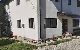 Apartament La Casa Pe Transrarau